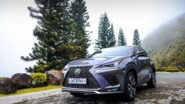 Lexus NX300 2018 makes its debut in the Philippines