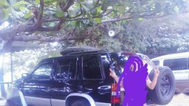 80k Rush Sale Nissan Terrano for sale