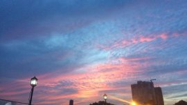 Toyota Corolla small body for sale