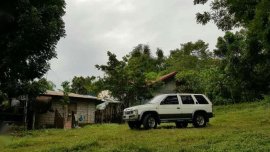 1999 Nissan Terrano 2.4 Local for sale