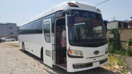 Well-kept Korean Bus Kia Granbird Parkway 2016 for sale