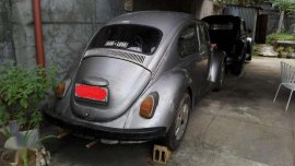 Two Volkswagens 1969 and 1974 model