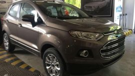 2018 Ford Ecosport and Fiesta ZERO Down ALL-IN Package!