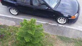 Honda Civic esi for sale