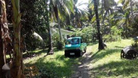 Suzuki Multicab 2017 for sale