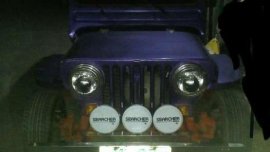 Owner Type Jeep 1994 for sale 