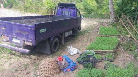 Isuzu Elf 1998 for sale