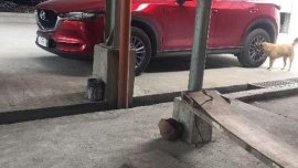 Mazda CX5 2017 FOR SALE