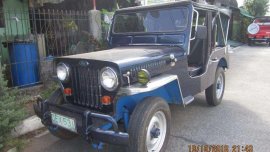 Owner Type Jeep 1979 for sale 
