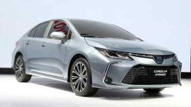 Next-gen Toyota Corolla 2020 sedan officially revealed in China