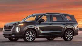 Hyundai Palisade 2020: A Big Baller greets the market