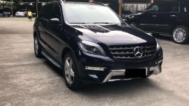 2015 Mercedes Benz ML 250 for sale