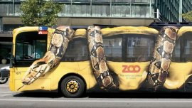 Car wrap Philippines: A Practical Solution for Changing Car Color