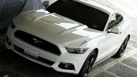 2016 Ford Mustang Ecoboost for sale