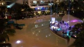 2014 Ford mustang for sale