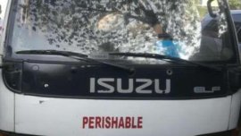 Like New Isuzu Elf for sale