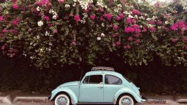 Volkswagen Beetle 1969 for sale