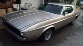 1971 Ford Mustang for sale 