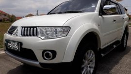 2010 Mitsubishi Montero Sport for sale