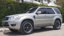 2009 Ford Escape for sale in Puerto Princesa