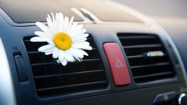 8 steps to eliminate odor from your car aircon system