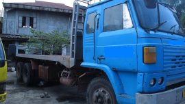 Isuzu Elf 2011 for sale
