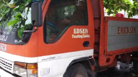 Selling 2nd Hand Isuzu Elf 2002 Diesel Automatic