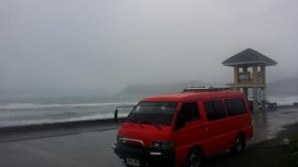 Selling 2nd Hand Hyundai Grace 1999 in Bustos