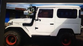 1982 Toyota Land Cruiser for sale in Ormoc