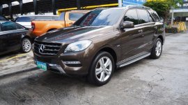 Mercedes-Benz ML-Class 2013 Automatic Diesel for sale in Pasig