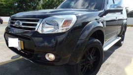 Sell 2nd Hand 2015 Ford Everest Automatic Diesel at 30000 km in Quezon City