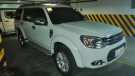 2014 Ford Everest for sale in Taytay