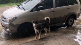 2007 Toyota Innova for sale in Mandaue 