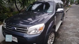 2014 Ford Everest for sale in Pasig 