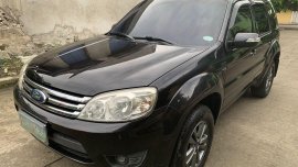 Ford Escape 2009 for sale in Las Piñas