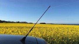Car buying tips - Things you might not know about car antenna