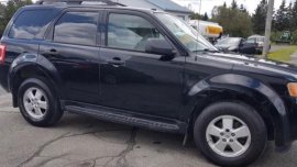 2010 Ford Escape for sale in Paranaque 