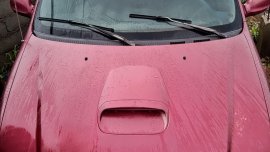 Selling Red Kia Carnival 2003 Manual Diesel in Baguio 