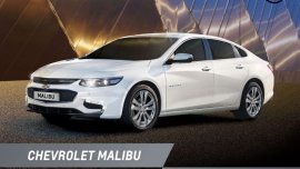 White Chevrolet Malibu 2019 Sedan for sale 