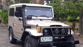 1975 Toyota Land Cruiser for sale in Silang