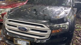 2017 Ford Everest for sale in Quezon City