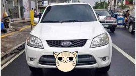2012 Ford Escape for sale in Pampanga
