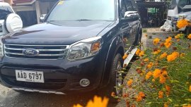 Ford Everest 2014 for sale in Iloilo City