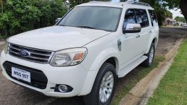 2nd-hand Ford Everest 2013 for sale in Quezon City