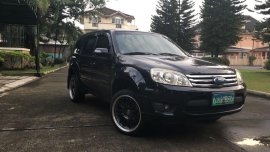 2010 Ford Escape for sale in Pasig