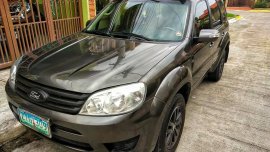 Grey 2009 Ford Escape for sale in 