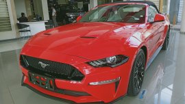Brand New 2019 Ford Mustang Low Down Payment