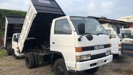 Selling 2019 Isuzu Elf Truck in Mandaue 