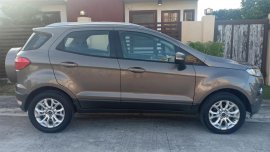 2014 Ford Ecosport Titanium (Top of the line model) 