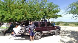 Sell Purple 1996 Nissan Terrano Wagon (Estate) in Manila